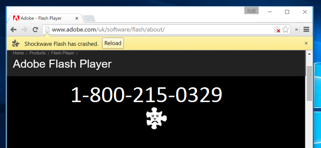 Shockwave Flash Plugin Chrome Download Mac